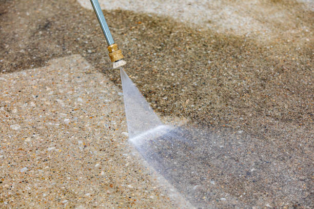Best Roof Cleaning and Mildew Removal in Chester, NY